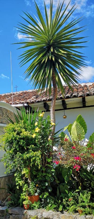 San Cristóbal de Las Casas Hotel Posada Casa Juana المظهر الخارجي الصورة